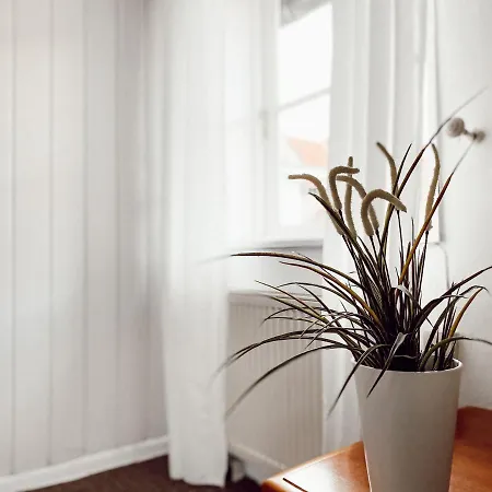 Drei Linden Herzog *